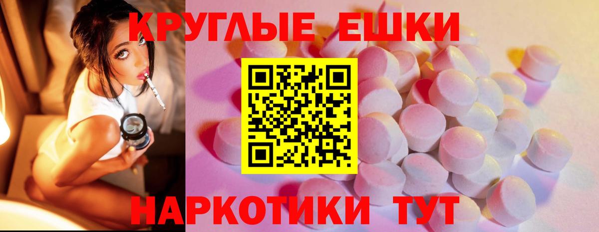 ЭКСТАЗИ Philipp Plein  Вход с VPN  Чайковский 
