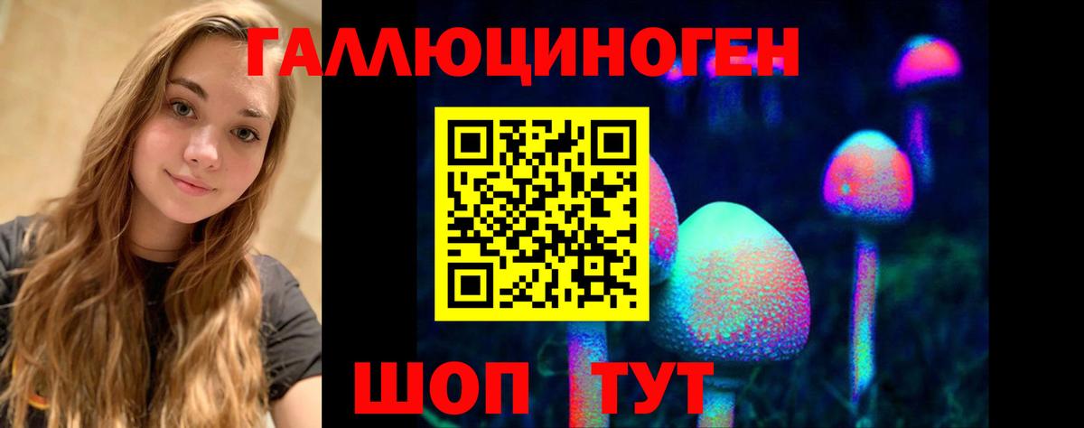 Чайковский  где купить   Вход с VPN  Галлюциногенные грибы мицелий 