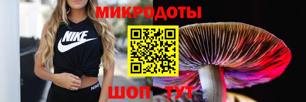Псилоцибиновые грибы мицелий Чайковский